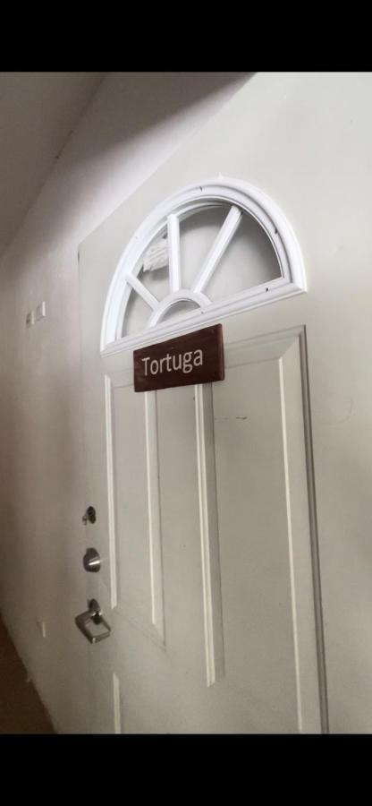 Habitacion Tortuga Casa Maria Bonita El Cuyo Exteriér fotografie